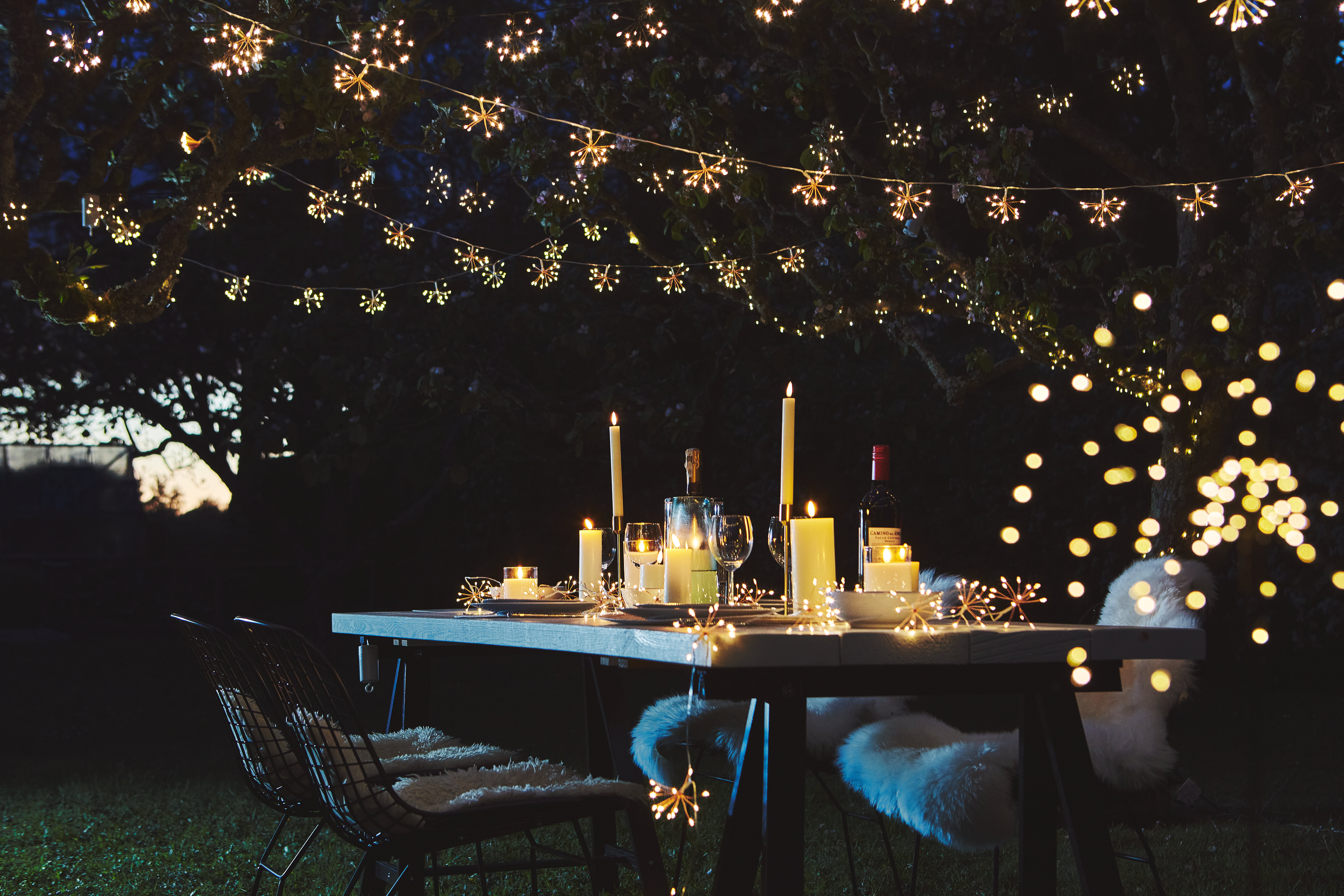 Being a Considerate Autumn Outdoor Host on a Budget